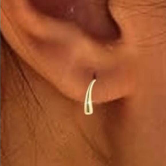 Petite 14K Gold Plated Fishhook Earrings - Picture 2 of 3